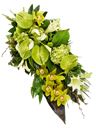 Cuscino Funebre con orchidee verdi