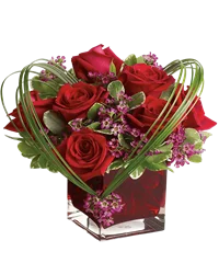 Rose rosse