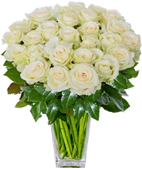 Mazzo compatto di rose bianche