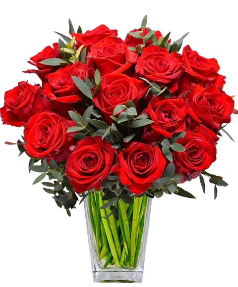 Mazzo di rose